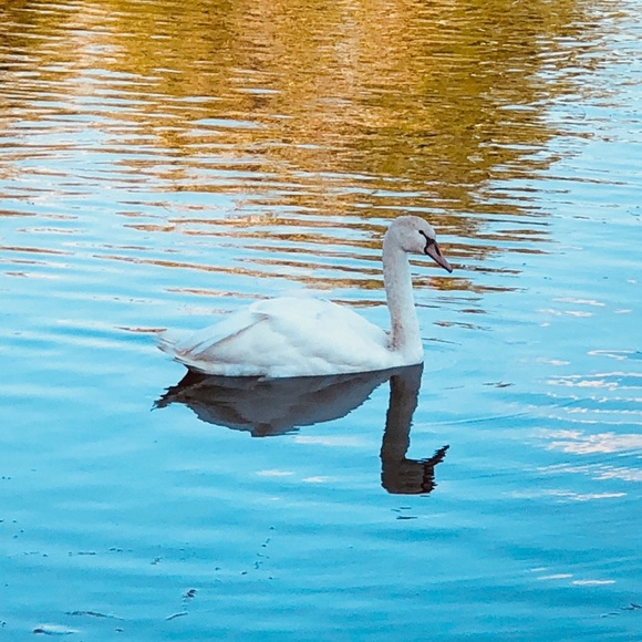 Back to selling 🥰 and shopping 😍 - Picture 6 of 9